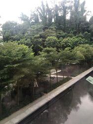 Reflections At Keppel Bay (D4), Condominium #458117501